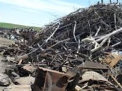 HMS 1/2 from Guatemala 500mt per month $0