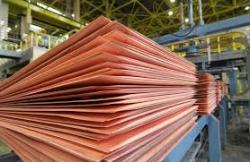 Buying Copper Cathode 99.9% from STEINWEG Warehouse