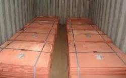 We need Copper cathodes Grade A99.99% up to 5,000 MT per month $0