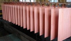 Request For Copper cathodes on FOB or CIF
