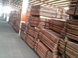 Purchasing Copper cathode scrap 1,000 t per month CIF $0