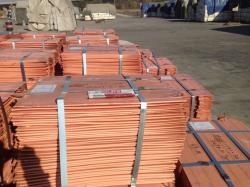  Copper Cathode for afordable price $4500