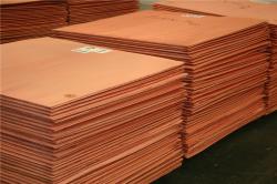 Copper Cathodes on CIF LME - 4% $0