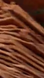 Copper cathodes 10,000 t on CIF $5000