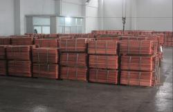 United Kingdom Buying Copper Cathodes