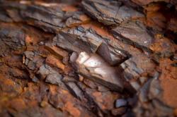 Iron ore 64% 150,000 MT per m x 12 months CIF $65