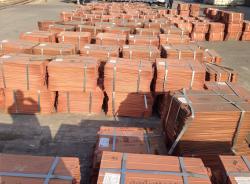 Copper cathodes on FOB