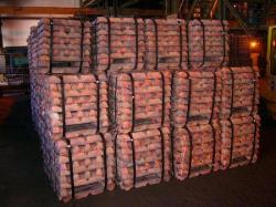 Copper Ingots supply