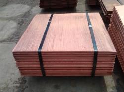 Copper cathodes Grade A 5,000 MT a m trial order 2,000 MT CIF