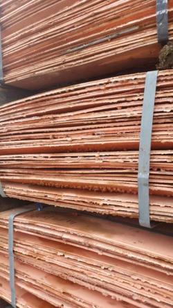 Copper cathodes 99,99% Cu MOQ 2,000 MT per m CIF LME 12% off