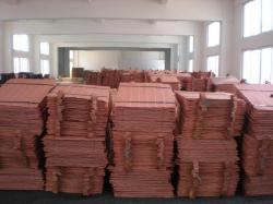 Copper cathodes 99,99% Cu MOQ 5,000 MT per m LME - 10%