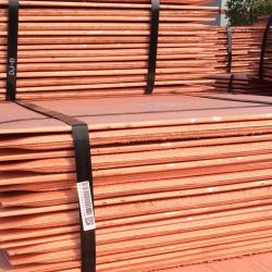 Interested in Copper Cathodes with delivery to Steinweg Tanzania