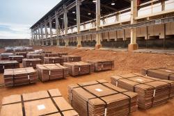 Copper cathodes 5,000 MT/month 2% PB