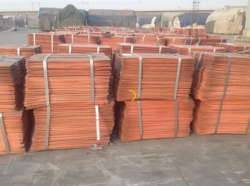 Copper Cathodes Grade A1 99,8% 1000 mt per month