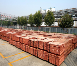 Copper cathodes purity 99,99% 5,000 MT/m is of interest