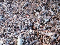 HMS 1 and 2, shredded scrap 25 mt a m CFR needed $0