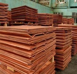 Supply of copper cathode 6,000 t per m LME-30% $0