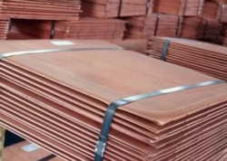 Copper cathodes and copper wire scrap 10,000 t a m $0