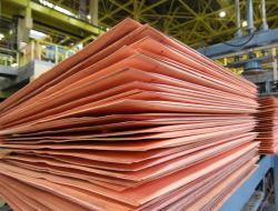 Italy Buying Copper Cathodes 1000 mt per month CIF