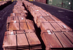 Looking for copper cathodes 6,000 mt a m