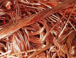 Interested in Copper milberry $0