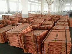 We sell copper cathode CIF $4450