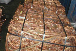 Copper Millberry 763 MT available $4200