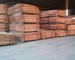  Electrolytic Copper Cathode Grade A 1000 mt pm min CIF needed $5400
