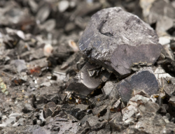 New Zealand Mined zinc ore20-25% 10,000 mt from Mexico