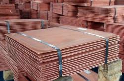 Copper cathodes 20,000 mt/m from Chile and Africa $0