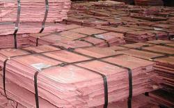 Looking for Copper cathode CIF $0