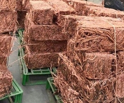 Copper Wire Scrap 99.99% over 5,000 mt CIF, FOB, CFR $500