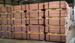 Copper cathodes 99,98% CIP Rotterdam $0