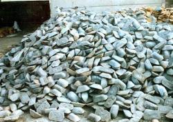 Purchasing Pig Iron 2,000 mt a m CIF