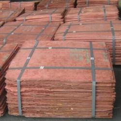 Copper Cathodes 10,000 mt/m from Chile $0