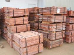 Supply copper catodes 99,99% 3,000 mt a m t -16% LME gross $0