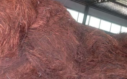 Buying Copper wire scrap, 1000 MT per month, CIF $3000