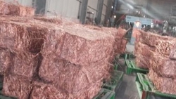 100% Pure Copper millberry scrap 10,000 MT per m $800