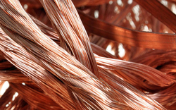 Copper Millberry needed $0