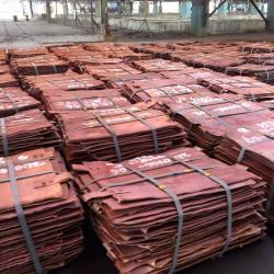 Copper Cathode 250 ton needed each nonth