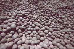 Iron Ore 62% on FOB $0