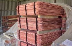 Copper cathodes up to 5,000 mt/m are of interest $0