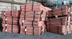 Copper Cathode 10,000 mt/m needed $0