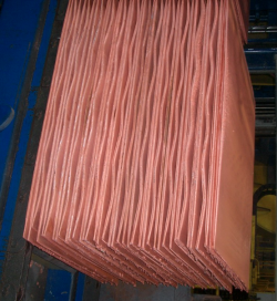 Copper cathodes 99,99% 2,000 MT/m on CIF