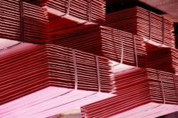 Need Copper cathodes 50,000 mt/m CIF $0