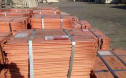 Copper cathodes 5,000 mt/month x 12 months CIF $5