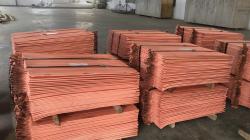 Copper cathode 99,99% 500 MT a m CIF 200 mt trial needed $0