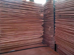 Interested in Copper cathodes