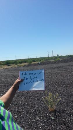 United States Copper ore 25% from Mexico