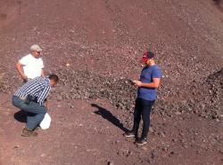 United States Manganese ore 40% for sale
